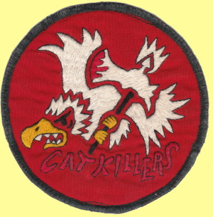220th Aviation Company party suit patch, courtesy of Dick Wells 220th Aviation Company party suit patch, courtesy of Dick Wells