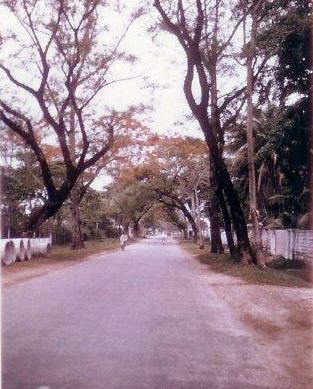 The street from 9 Gia Long to Officers Mess, about a four-block walk