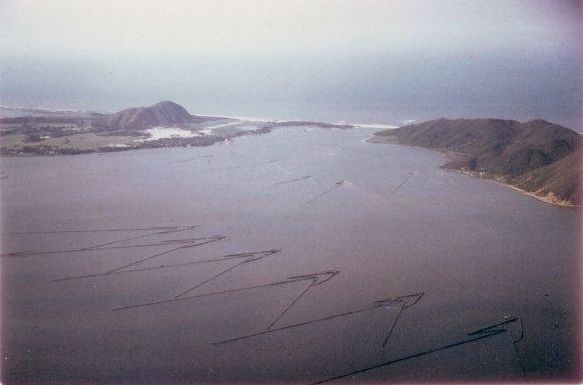 Fish traps, mouth of Hoi An river