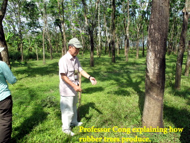 Vietnam Battlefield Tours, Con Thien Combat Base Vietnam Battlefield Tours, Con Thien Combat Base