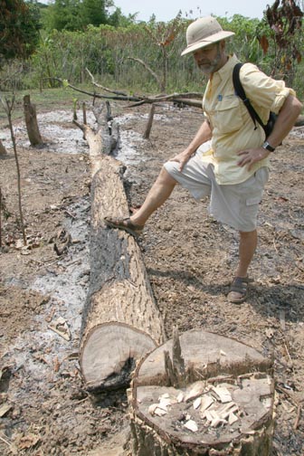 slash and burn techniques